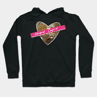 Stupid Cupid ( Valentine’s Day Cards) Hoodie